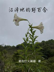 沼泽地的生态系统对环境有哪些影响