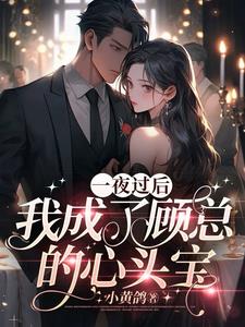 一夜过后,我成了顾总的心头宝